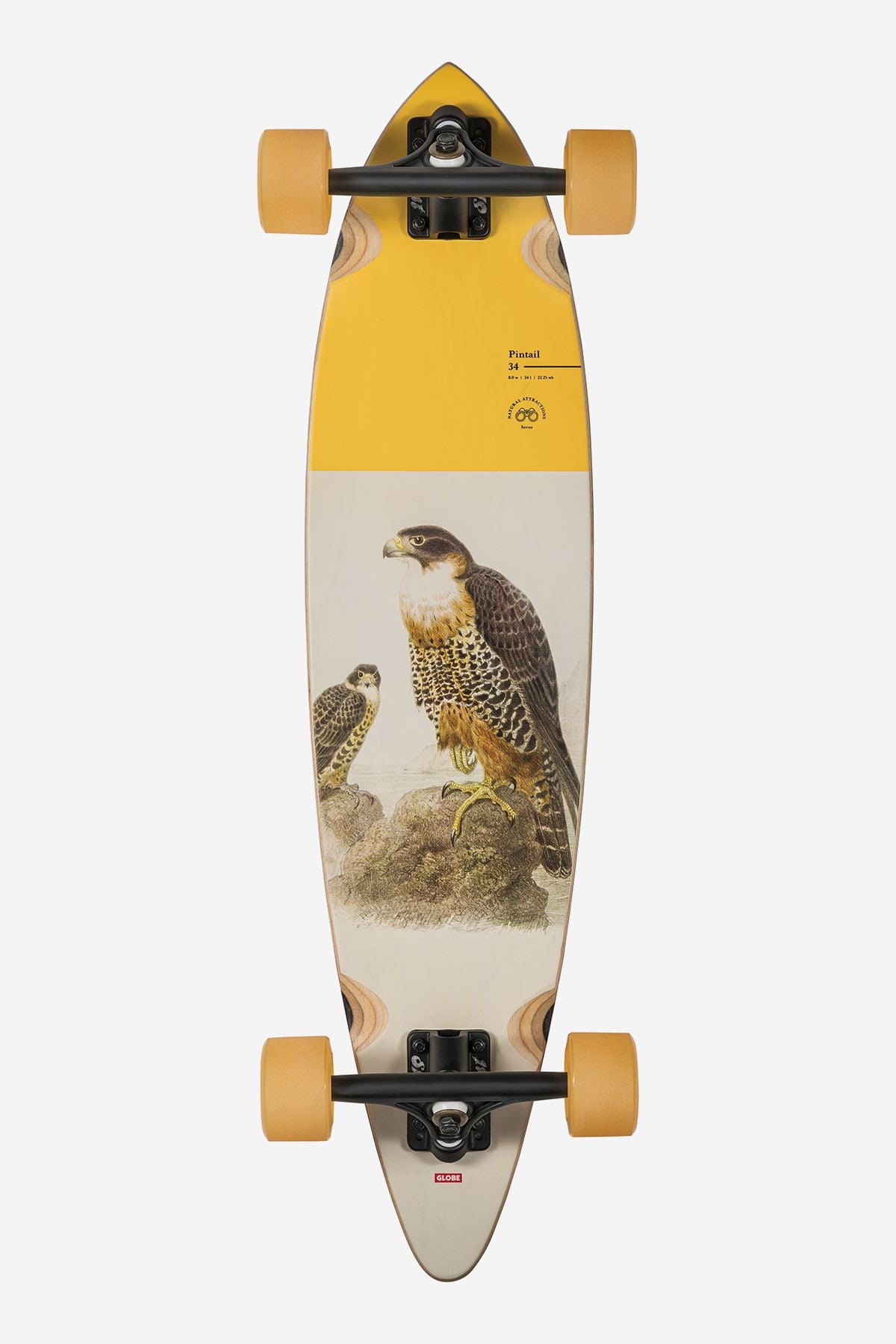 Cruiser Skateboards Globe Pintail 34\