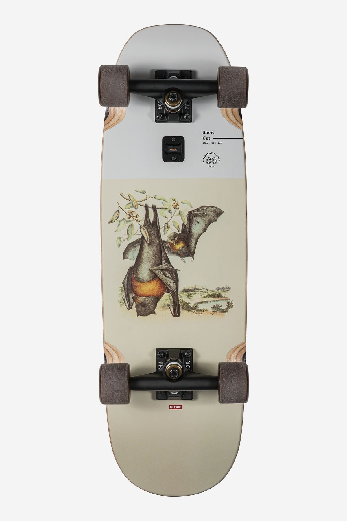 Cruiser Skateboards Globe Cut 28" Brown/White | Mexico-027495